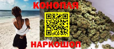 крисы Кандалакша
