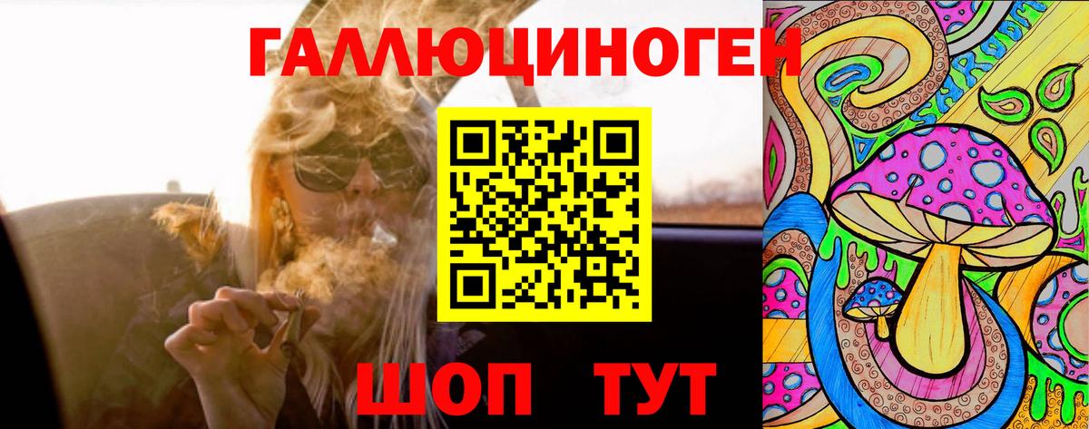 Псилоцибиновые грибы GOLDEN TEACHER Котовск